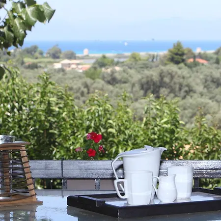 Pine House Ii * Frínion